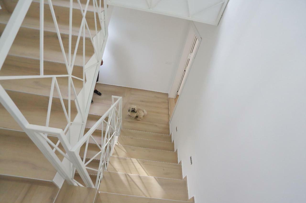 L Apartments Bibinje Dış mekan fotoğraf